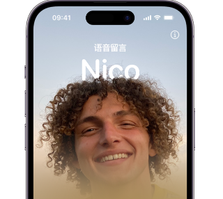 榆中苹果15服务站分享iPhone15实时语音留言开启方法 