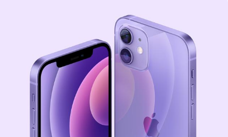 榆中苹果手机维修分享紫色版iPhone 12有什么技术亮点 